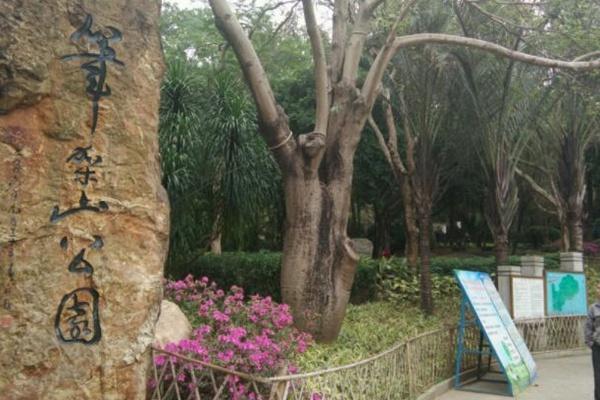 深圳笔架山公园趣味迷你花园怎么去