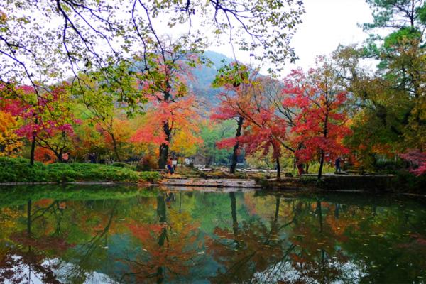 2021蘇州天平山紅楓節(jié)活動時間及最佳賞楓地點 附出行指南