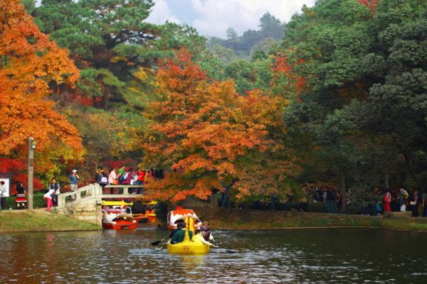 2021苏州天平山红枫节活动时间及最佳赏枫地点 附出行指南