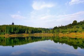 宜兴龙背山森林公园景点介绍 宜兴龙背山森林公园要门票吗