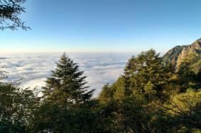 2021年宁波九峰山风景区特惠门票价格