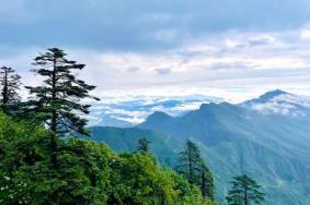 2021四川瓦屋山观光车暂停运行时间