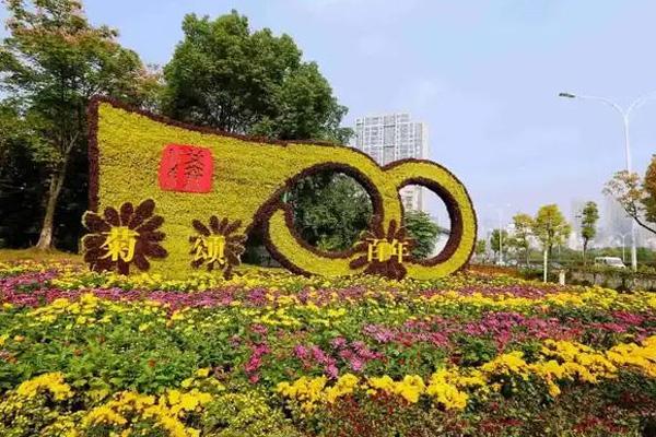 2021武汉东湖菊花展时间及主题-具体地址