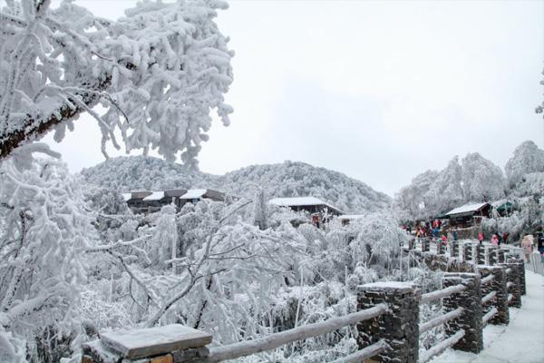 重庆金佛山下雪了吗2021