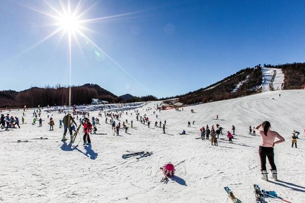 神龙架国际滑雪场门票多少钱
