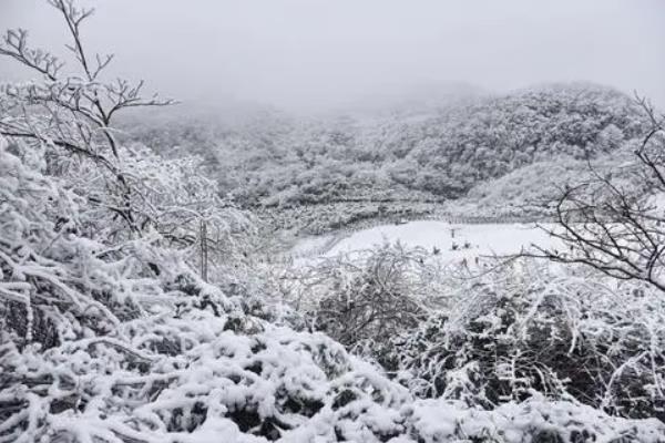 重庆雪天适合看雪的地方
