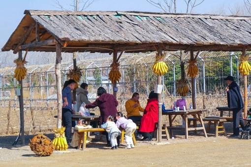 青島翠林云莊鄉村樂園游玩指南