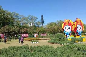 2021汕头中山公园菊花展时间-活动亮点