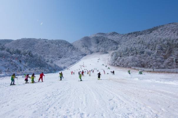 2021阿勒泰将军山滑雪场免费滑雪活动时间-内容
