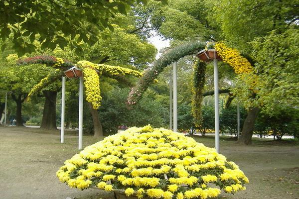 2021上海共青森林公园菊花展最佳观赏时间