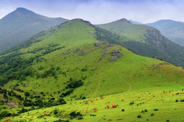 福清瑞巖山風(fēng)景區(qū)有哪些景點