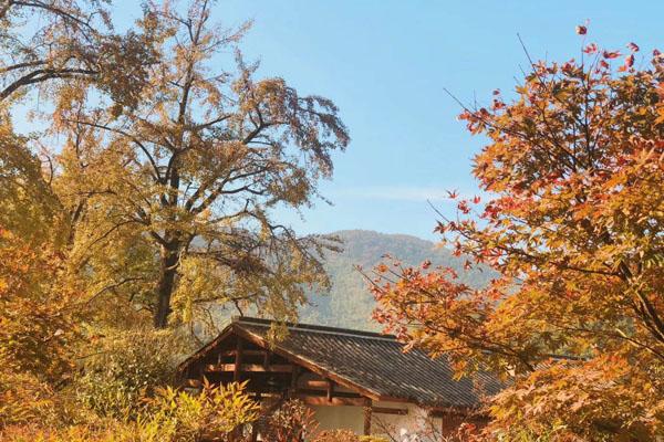 長興八都岕景區在哪里 門票價格一覽