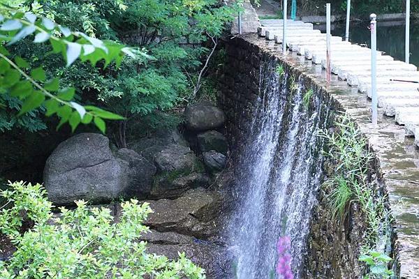 昆嵛山国度丛林公园11月18日起启山养护部分景区启闭