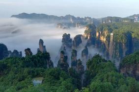 全国首个景区元宇宙研究中心落户张家界