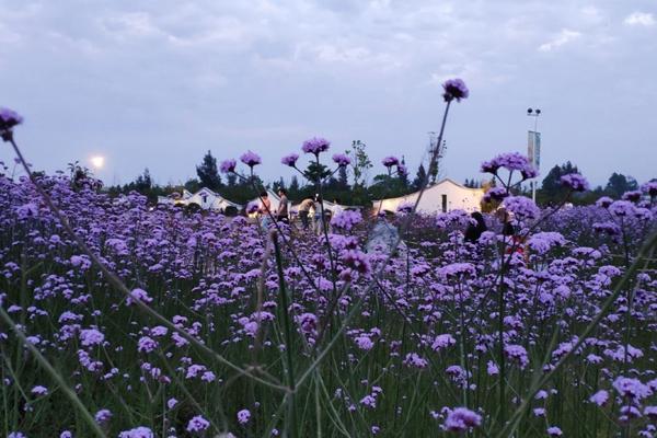 闽江河口湿地公园开放时间及门票