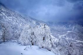 西岭雪山一天怎么玩最好 这份一天游攻略请收好