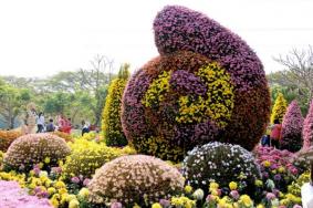2021深圳东湖公园菊花展预约指南+门票+地址