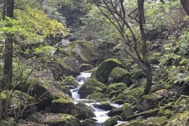 2021洛陽白云山冬季門票優惠活動內容-時間