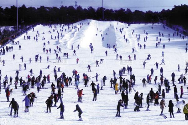 沈阳去哪里可以滑雪