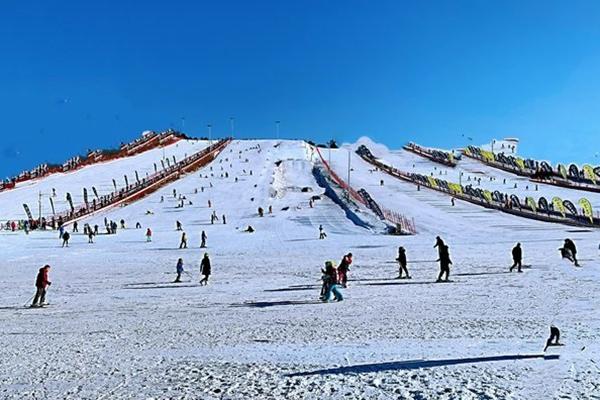 沈阳去哪里可以滑雪