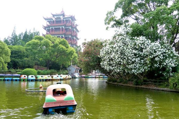 2022上海川沙公园游玩攻略 - 开放时间 - 门票价格 - 地址