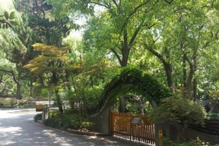上海丁香花园游玩攻略-门票价格-景点信息