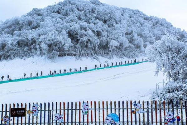2021-2022重庆金佛山滑雪开放时间及门票价格