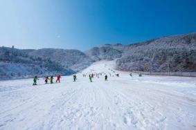 2021-2022安吉观音堂滑雪场开放时间 附开业优惠票