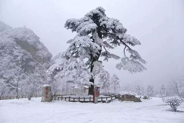 2021西安翠华山滑雪场开放时间及早鸟票详情