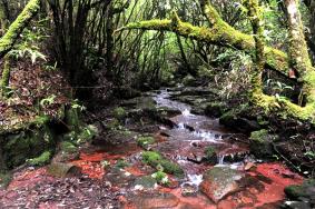 南昌湾里磨盘山森林公园特色玩法