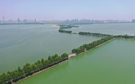 武漢東湖綠道騎行方案攻略 8大路線長的短的任你選擇