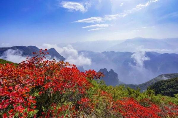 2021巫山神女景區賞紅葉一日游旅游線路