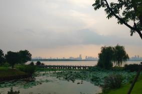 东湖风景区旅游攻略 搞清楚7条线畅玩整个东湖