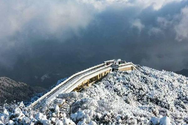 重庆金佛山冬季旅游攻略一日游