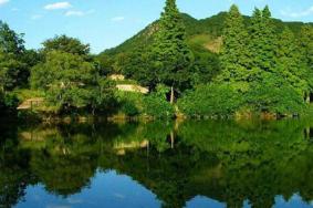 2024黄龙湖森林公园旅游攻略-门票价格-景点信息