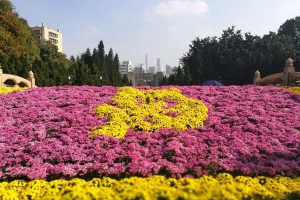 2021广州黄花岗菊花展举办时间