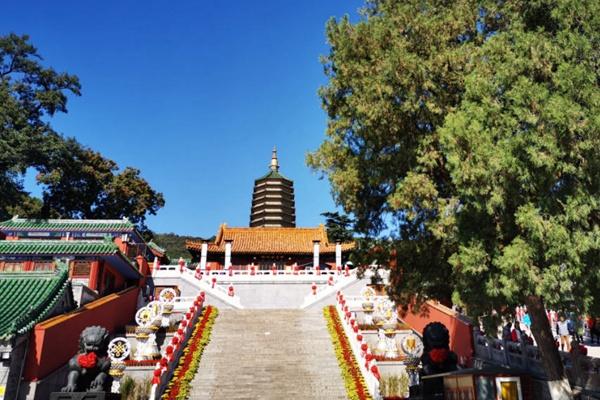 北京八大處公園索滑道12月6日停運通知