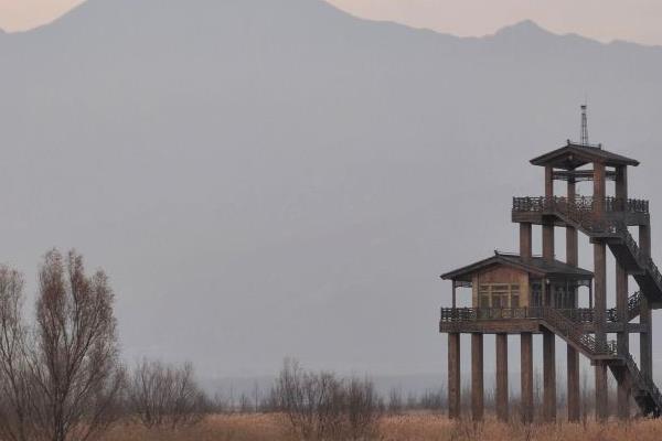 北京野鴨湖國家濕地公園開放時間門票及攻略