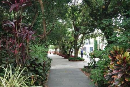 2022万宁兴隆热带植物园游玩攻略 - 门票价格 - 开放时间 - 交通 - 地址