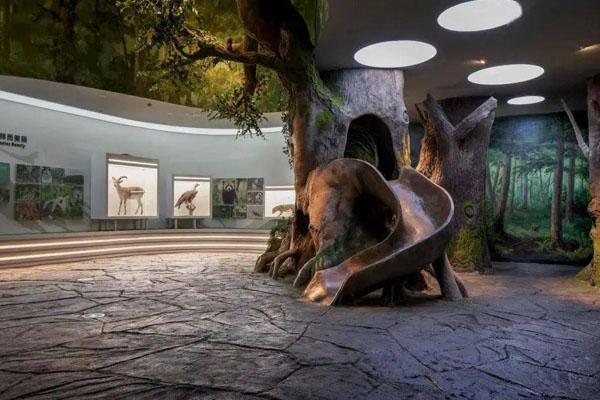 2021成都大熊猫博物馆今天起对外恢复开放