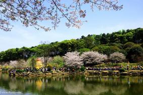 长沙市雨花区公园有哪些