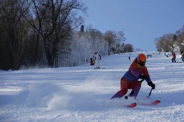2021-2022哈尔滨滑雪场有哪些 哈尔滨滑雪好去处推荐