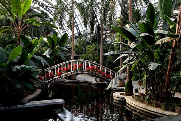2021天津热带植物园最新门票优惠政策