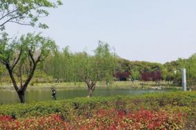 2024上海黎安公园游玩攻略-门票价格-景点信息