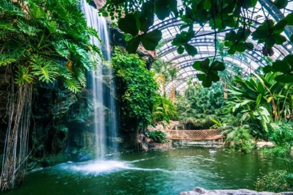 2021天津热带植物园门票优惠政策