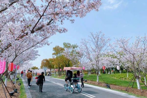 2021宁波植物园12月6日临时闭园公告