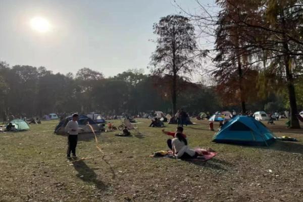武汉哪些公园可以搭帐篷2021