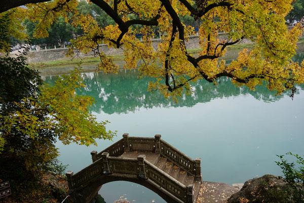 宁波溪心风景区交通攻略-自驾游线路