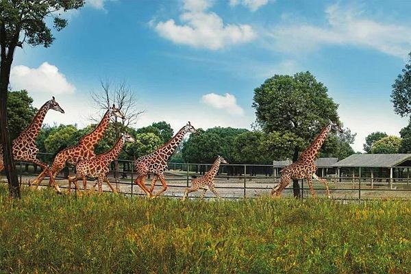 蘭州野生動物園恢復開園時間以及冬季暖心門票持續時間介紹