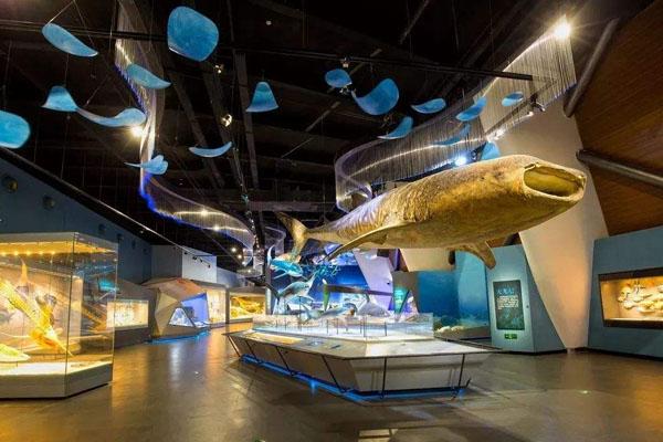 2022天津国家海洋博物馆门票预约及收费门票价格